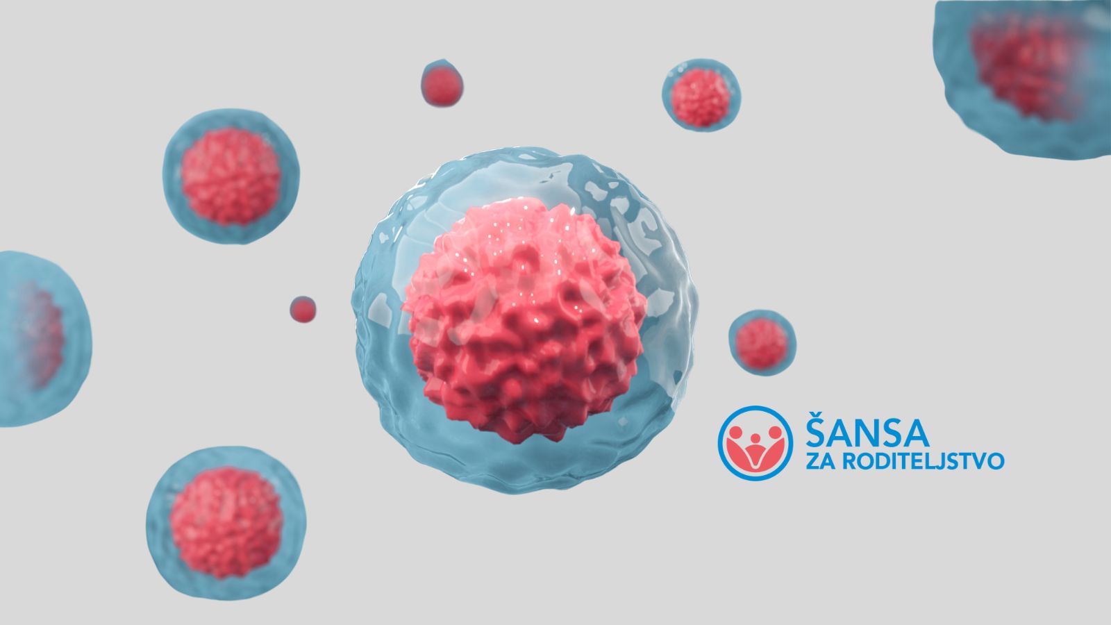 kvalitet embriona šansa