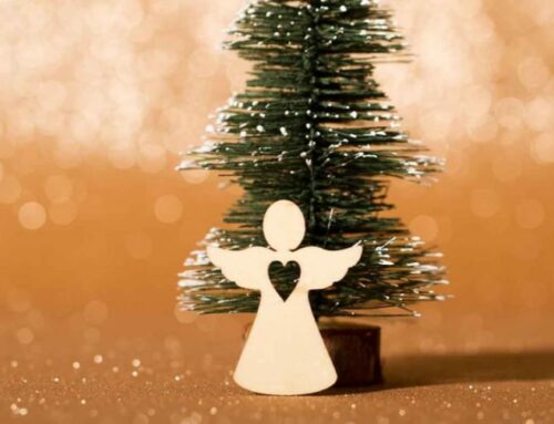 SUDBINA NAS JE SPOJILA