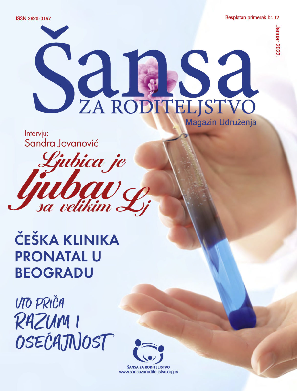 SANSA-12-WEB_Page_01 Magazin 12